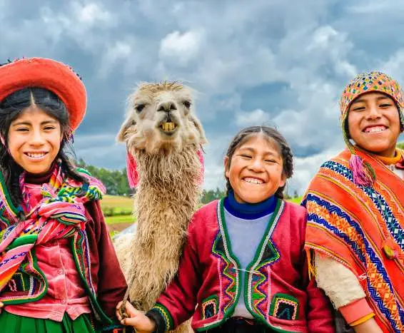 Vale sagrado, alpaca peru