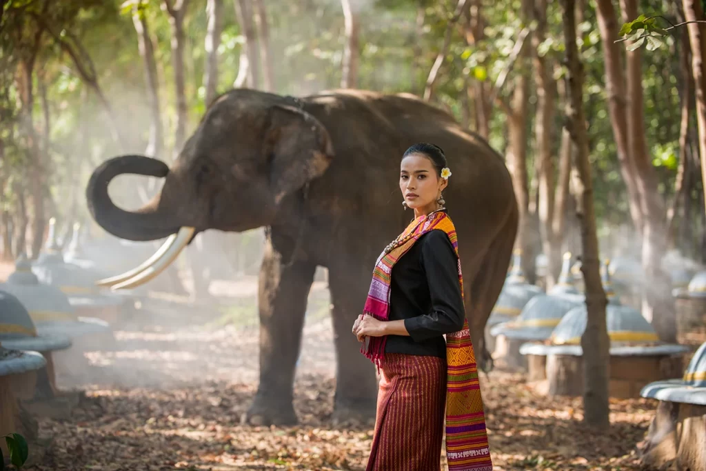 mulher e elefante na tailandia