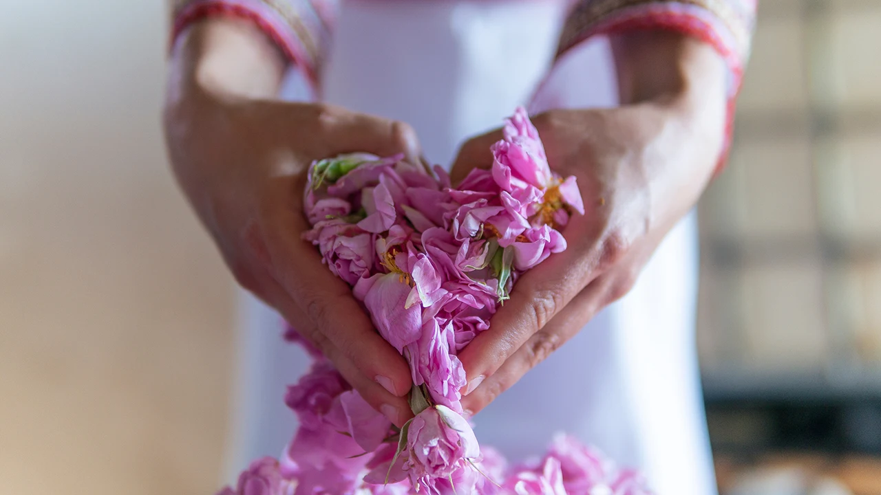 viagem marrocos flores, aromas rena