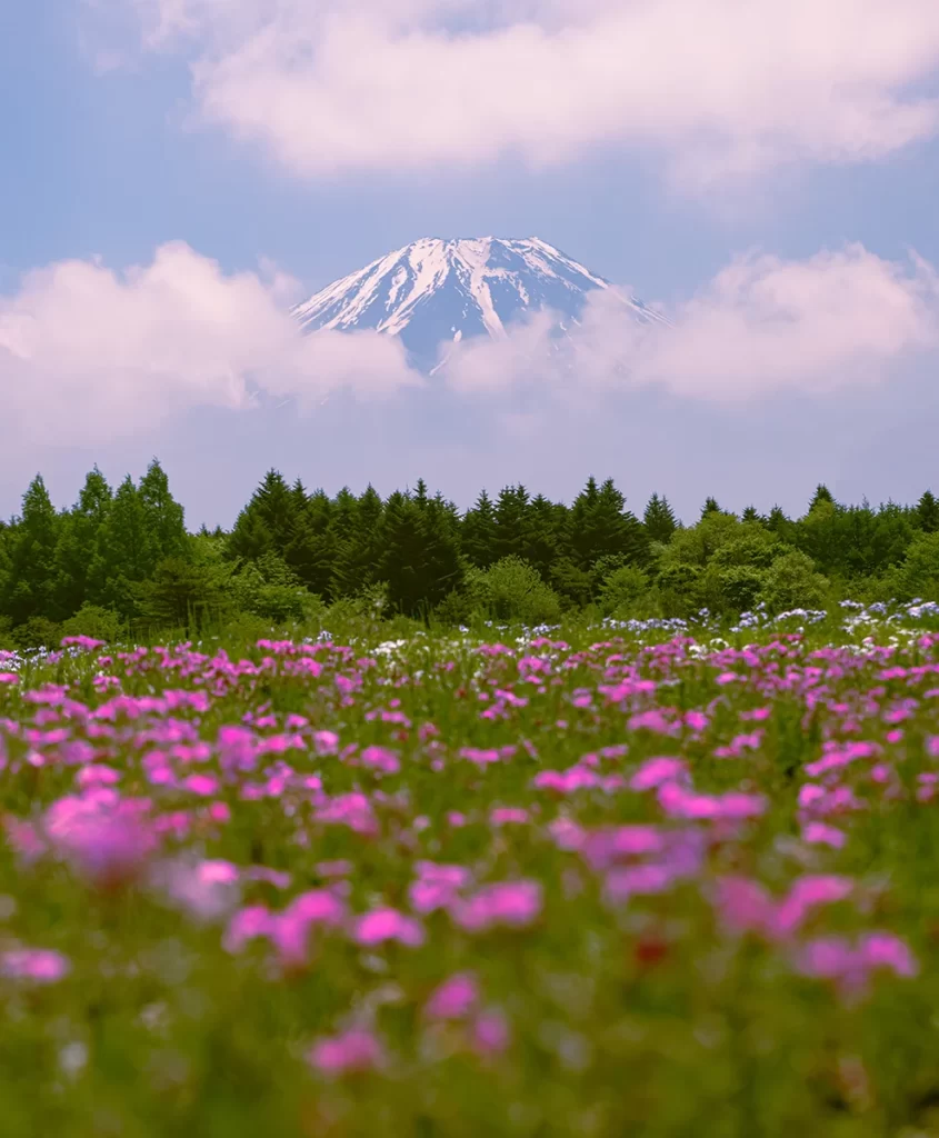 Monte Fuji