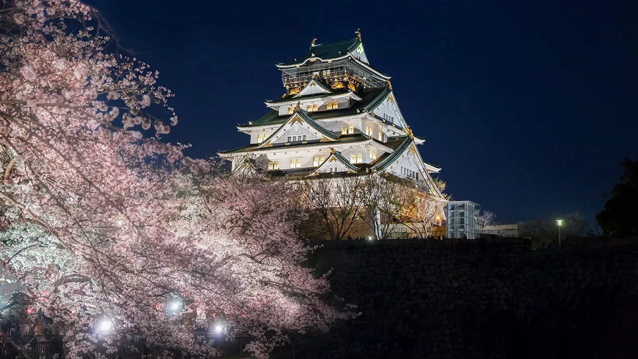 Viagem Coreia do Sul e Japao cerejeiras