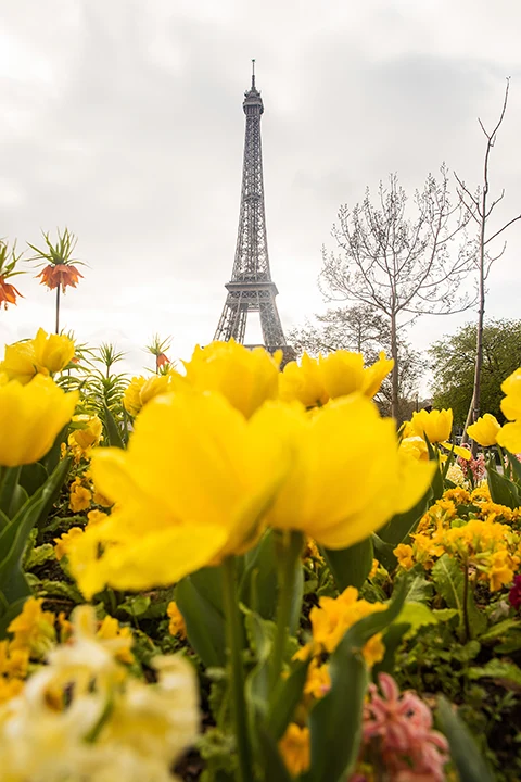 primavera em Paris
