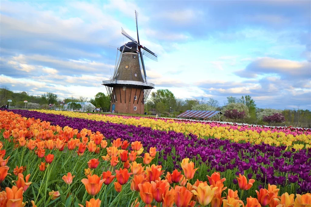 holanda - Pacote de viagem primavera Europa